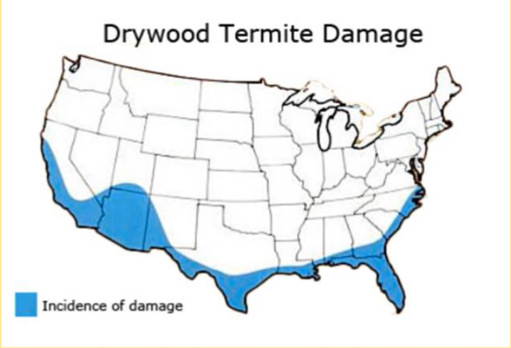 <p>• Insects (Termites)</p><p>• Termites are the most common wood</p><p>eating insect</p><p>• Live in cellulose</p><p>• Dry wood (mostly in the south)</p><ul><li><p>Use chemicals or</p></li></ul><p>concrete foundation to</p><p>help reduce termites</p>