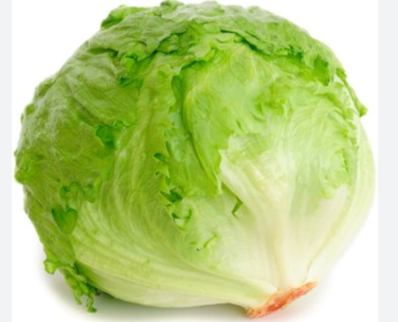 <p>La Lechuga</p>