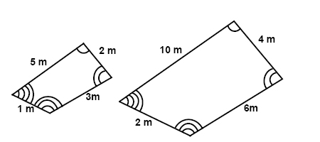 <p>Polygons that have the same shape (and congruent angles) but may have different sizes.</p>