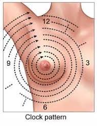 <p>What is the circular palpation pattern?</p>