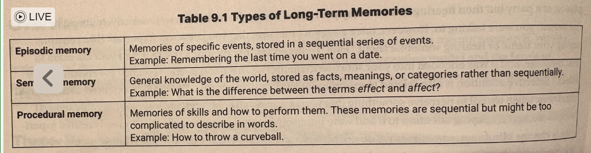 <ul><li><p>long term memory is our storage and usually stays forever</p></li></ul><p></p>
