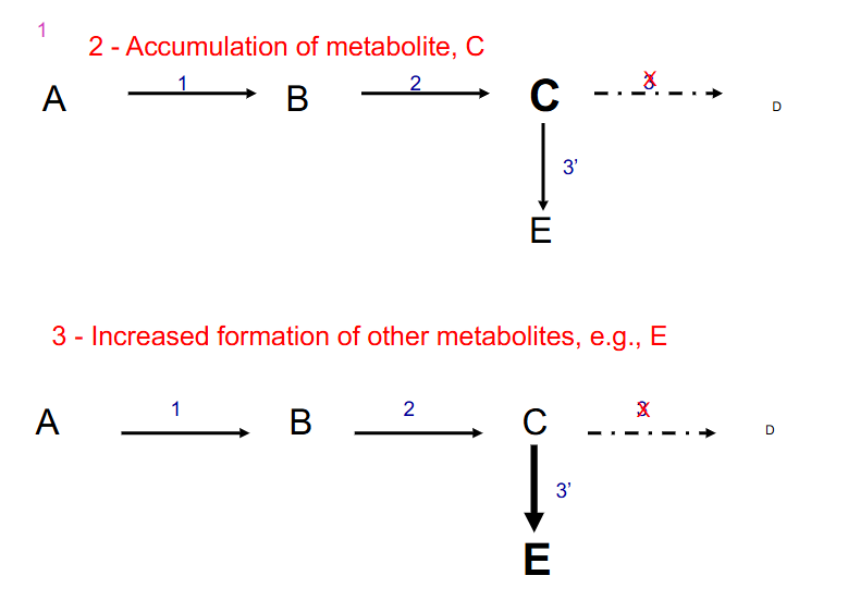 <p>2. Accumulation of metabolite, C</p>