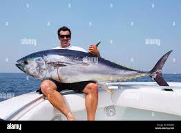 <p>tuna </p>