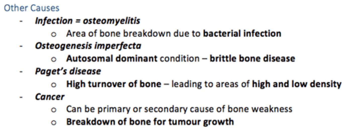 <p>Osteomyelitis</p><p>Osteogenesis imperfecta</p><p>Paget's disease</p><p>Cancer</p>