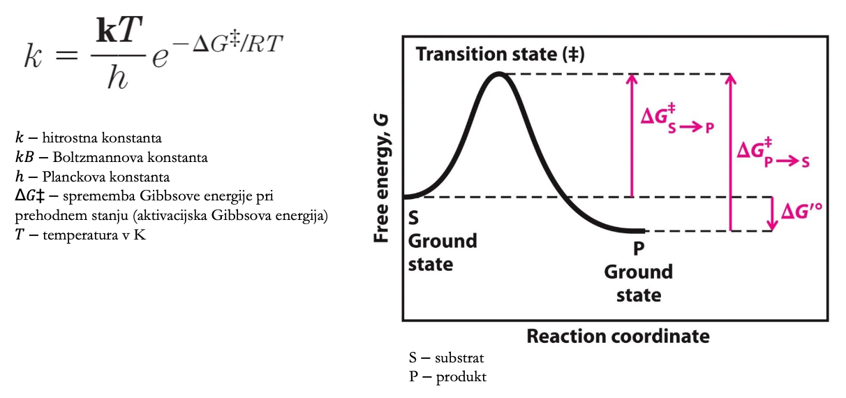 <ul><li><p>transition state</p></li><li><p>opišemo z modificirano Arreniusovo enačno</p></li></ul><p></p>