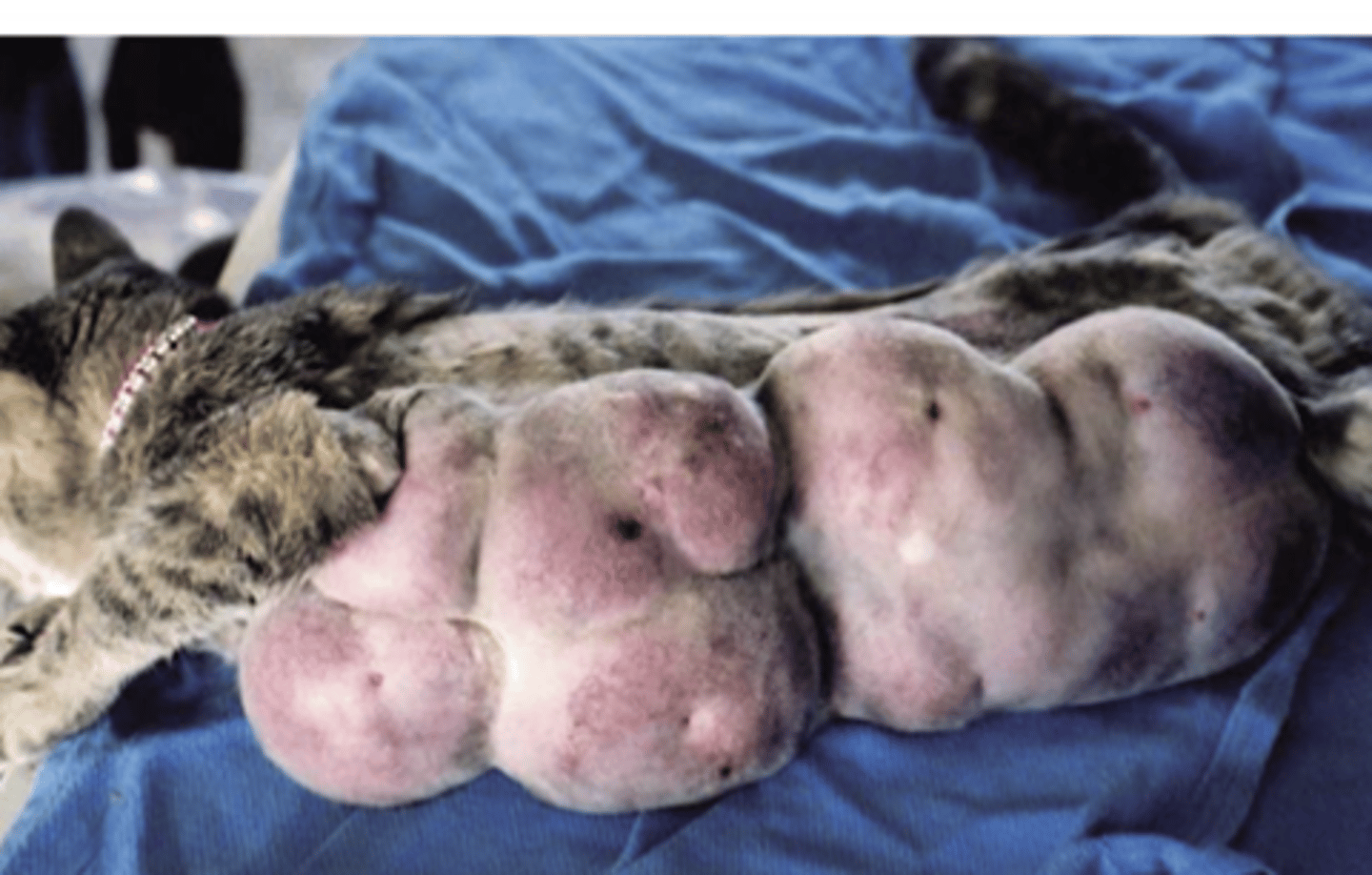 <p>what is the problem?</p>