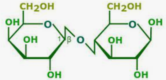 <p><span>What is this molecule?</span></p>