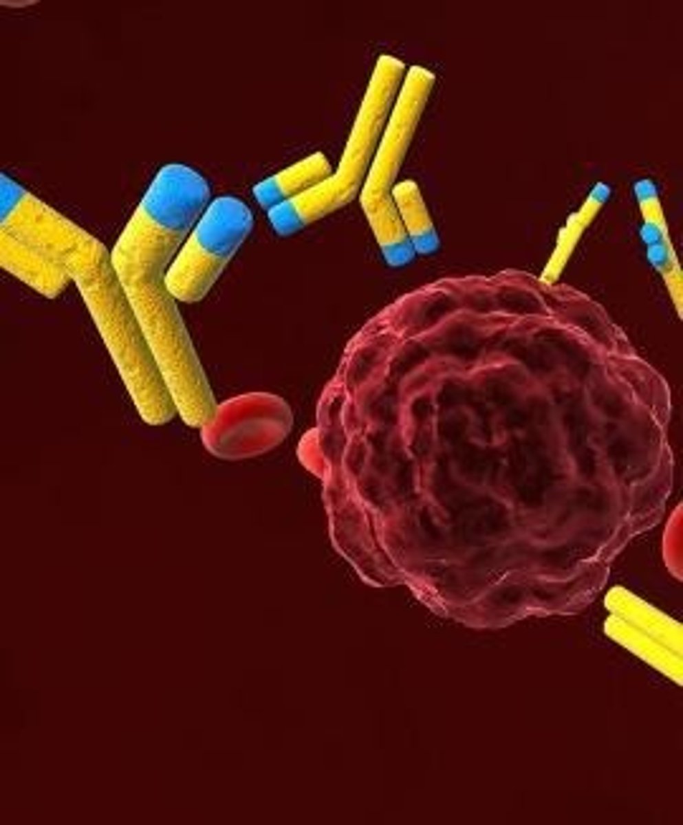 <p>R0 (R naught) is the average number of people who will contract a contagious disease from one infected individual.</p>