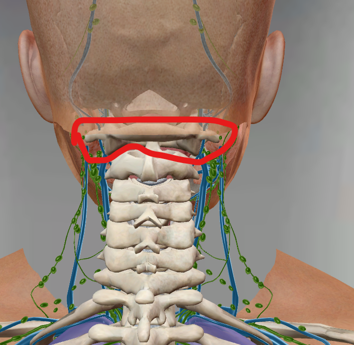 <p>C1</p>