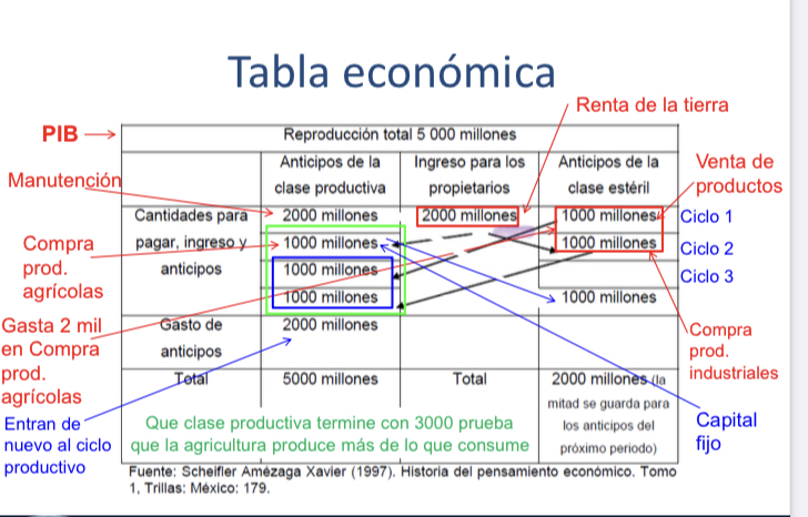 FISIÓCRATA

Obra: “Tableau Economique” o tabla económica (1756)
• Buscaba explicar el funcionamiento del sistema económico.
Dividía a la población en 3 clases:
• Clase productiva: Agricultores→se encargaban de proveer los insumos necesarios al resto de la población.
• Clases estériles: Artesanos, comerciantes y la burguesía→sólo intercambiaban o utilizaban el producto de la tierra.
• Propietarios: terratenientes y clero
Comparaba el funcionamiento del cuerpo humano con el de la economía
• Flujo de dinero = circulación sanguínea.
• El corazón = los agricultores eran el motor de la economía.
Pretende demostrar que sólo la agricultura produce más de los que consume.