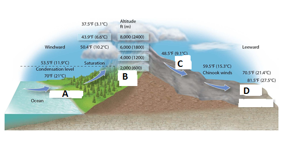 The rainiest or snowiest zone on the mountain in the diagram above would be in the area marked
a. From C to D
b. At C and at D
c. From B to C
d. At A and at D
e. From A to B