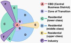 a spatial model of the American city that suggests that land-use areas conform to a
wedge-shaped pattern focused on the downtown core (CBD)