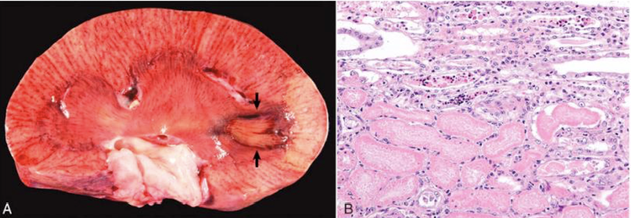 <p>What is this an example of?</p>