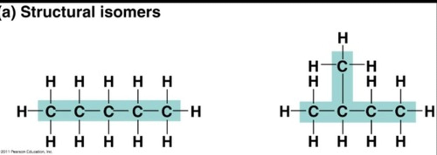 <p>(adj) thuộc cấu trúc</p>