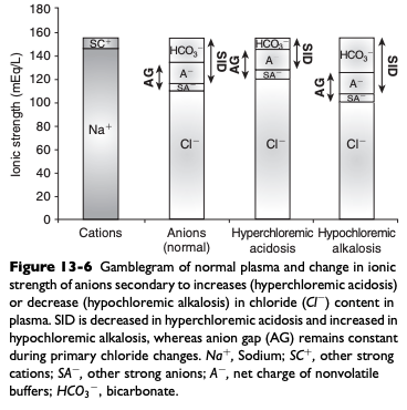 <ul><li><p>Increases in [Cl-] can substantially decrease SID, leading to hyperchloremic acidosis</p></li><li><p><span>May be caused by chloride retention (early renal failure, renal tubular acidosis), excessive loss of sodium relative to chloride (diarrhea), or by administration of substance containing more chloride than sodium as compared with normal ECF composition</span></p></li><li><p><span>Administration of 0.9% NaCl is a common cause in hospitalized patients</span></p></li><li><p><span>Treatment should be directed at correction of the underlying disease process</span></p></li></ul><p></p>
