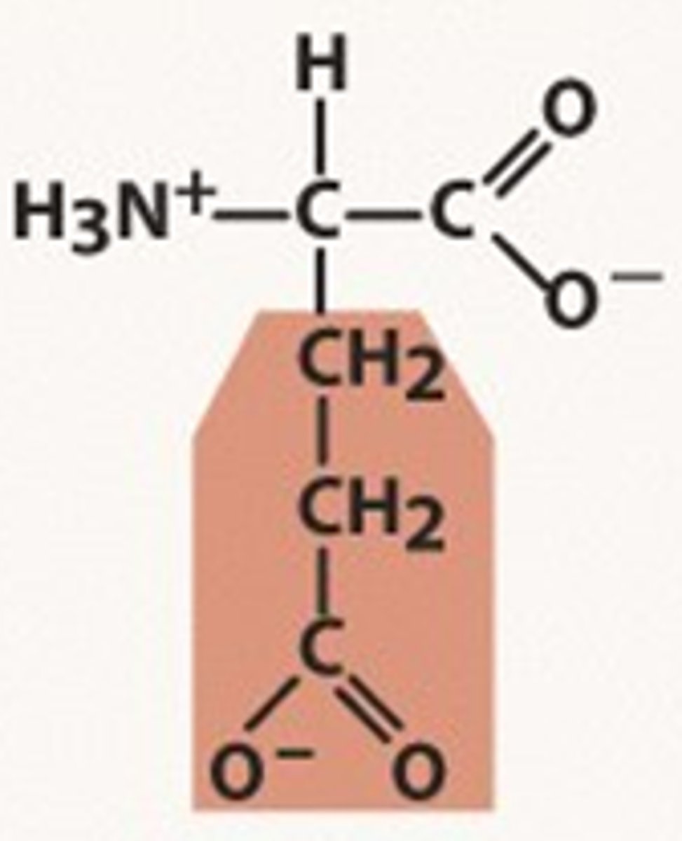 <p>Glu, E, negatively charged, pKr= 4.07</p>