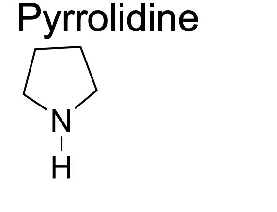 <p>pkb of pyrrolidine</p>