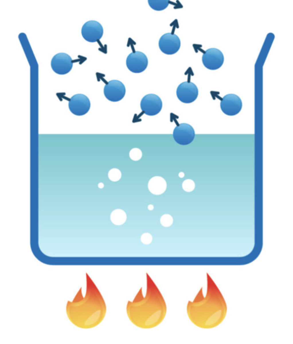 <p>the process where a liquid turns into a vapor (gas).; this process requires heat energy</p>