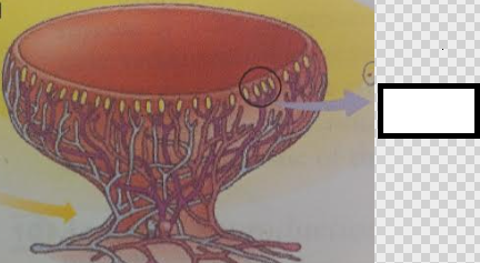 <p>What is this entire diagram showing?</p>