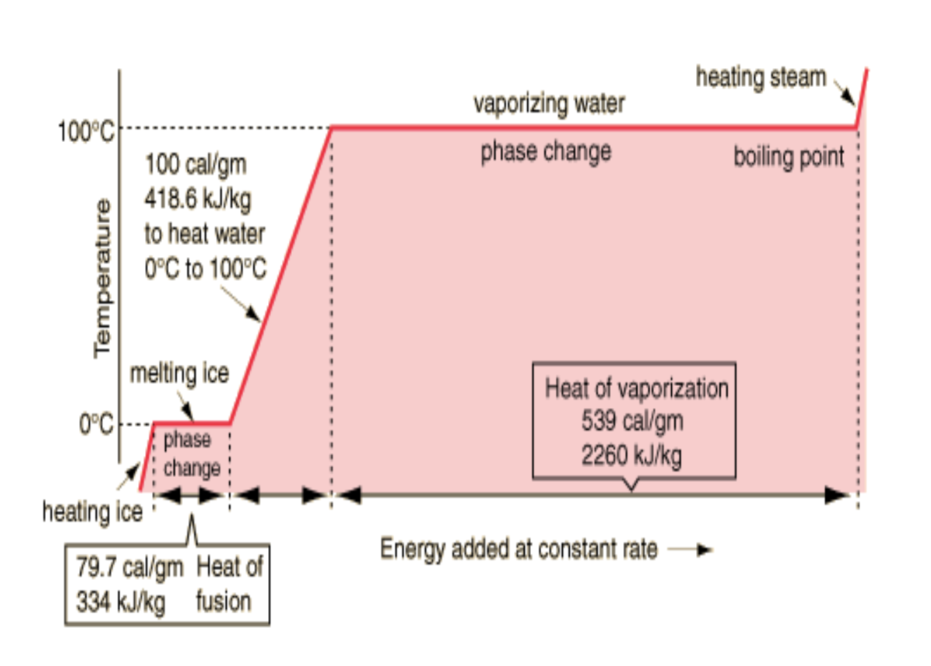 <p>Why doesn’t temperature change when reactant is changing states?</p>
