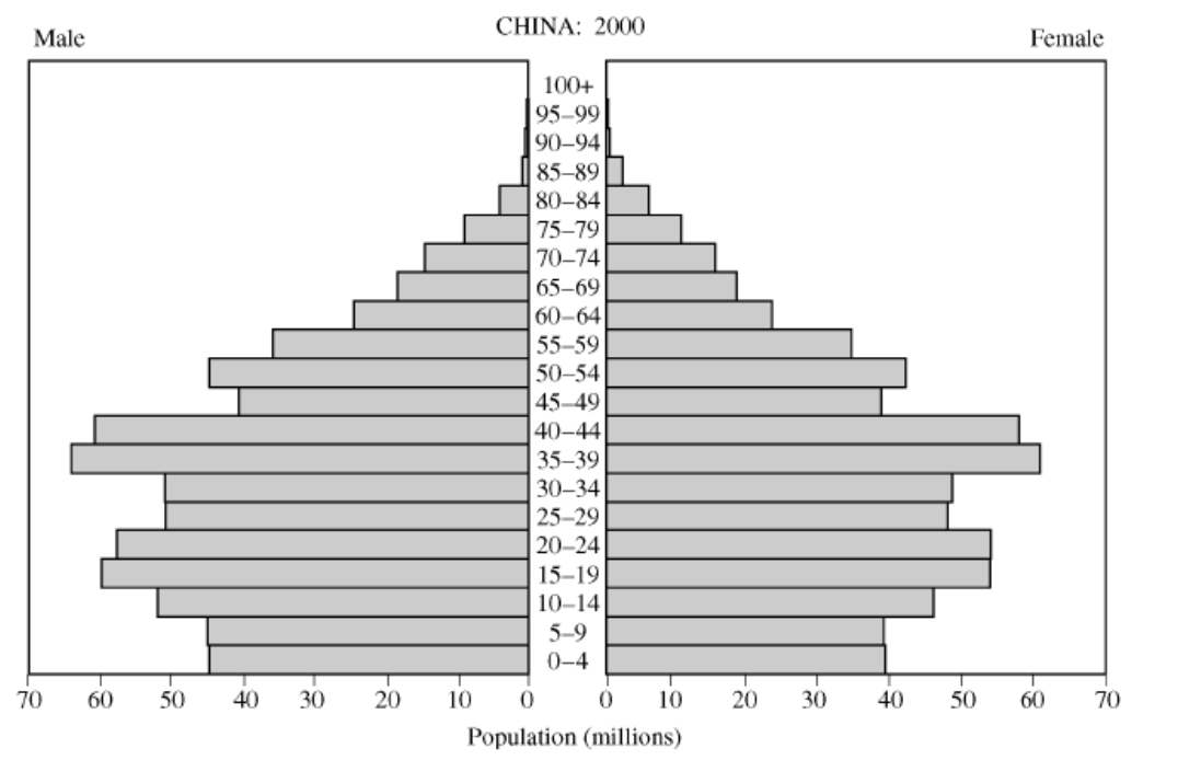 <p>Based on the population pyramid above, which of the following will pose the greatest demographic challenge to China beginning in 2029?</p>