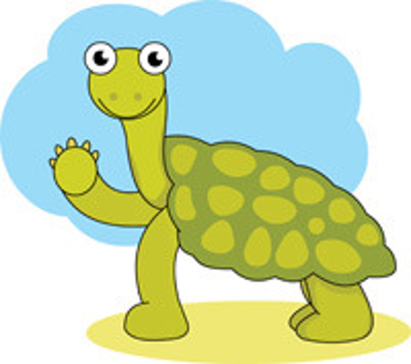 <p>the turtle</p>