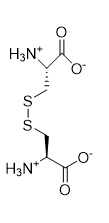 <ul><li><p>Covalent bond linking together 2 cysteine residues</p></li><li><p>Not every cysteine in a protein forms a disulfide</p></li></ul><p></p>
