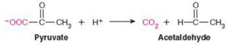 <p>Give Reaction Type and Class</p>