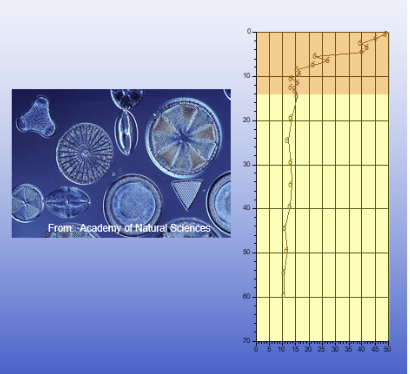 <p class="Paragraph SCXW244239049 BCX0" style="text-align: left;"><span style="line-height: 20.925px;"><span>-Biogenic silica </span></span></p><ul><li><p class="Paragraph SCXW244239049 BCX0" style="text-align: left;"><span style="line-height: 20.925px;"><span>Diatoms, chrysophytes </span></span></p></li></ul><ul><li><p class="Paragraph SCXW244239049 BCX0" style="text-align: left;"><span style="line-height: 20.925px;"><span>Indicator of diatom biomass </span></span></p></li></ul><p class="Paragraph SCXW131270968 BCX0" style="text-align: left;"><span style="line-height: 20.925px;"><span>-Top layer of sediments- After </span></span></p><ul><li><p class="Paragraph SCXW131270968 BCX0" style="text-align: left;"><span style="line-height: 20.925px;"><span>Diatoms deposited in recent sediments </span></span></p></li></ul><ul><li><p class="Paragraph SCXW131270968 BCX0" style="text-align: left;"><span style="line-height: 20.925px;"><span>Open water (planktonic) diatoms abundant </span></span></p></li></ul><p class="Paragraph SCXW131270968 BCX0" style="text-align: left;"><span style="line-height: 20.925px;"><span>-Bottom- before (in reference to the diagram below) </span></span></p><ul><li><p class="Paragraph SCXW131270968 BCX0" style="text-align: left;"><span style="line-height: 20.925px;"><span>Diatoms deposited in pre-1850 sediments </span></span></p></li></ul><ul><li><p class="Paragraph SCXW131270968 BCX0" style="text-align: left;"><span style="line-height: 20.925px;"><span>Shallow water (benthic) diatoms abundant </span></span></p></li></ul><p></p>