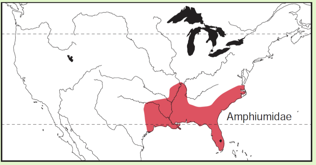 <p><span>Southeastern United States</span></p>