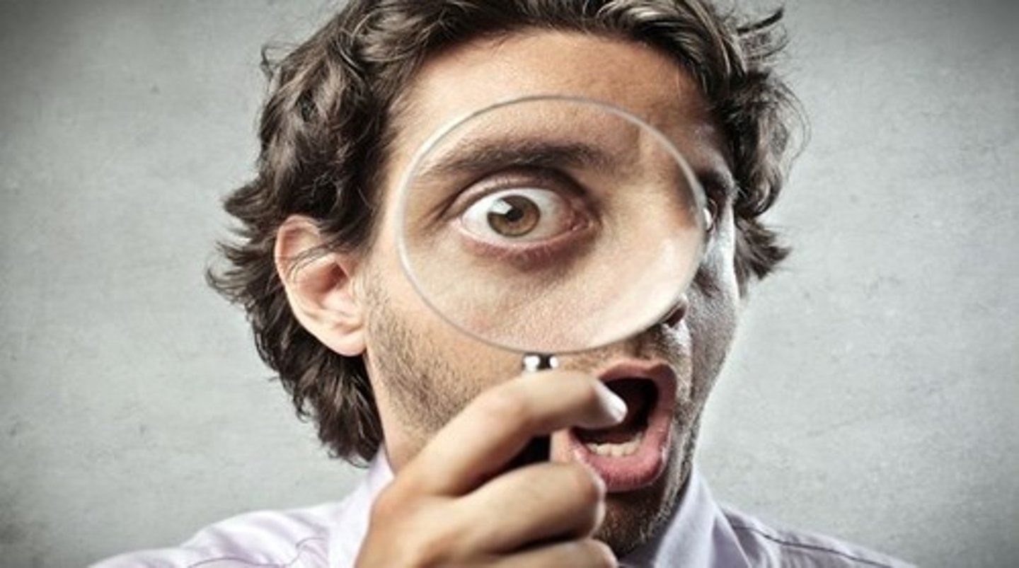 <p>It is involved in processing visual information such as colour, shape and motion. These lobes need to be very fast in processing visual information in order for the brain to understand what it is seeing.</p>