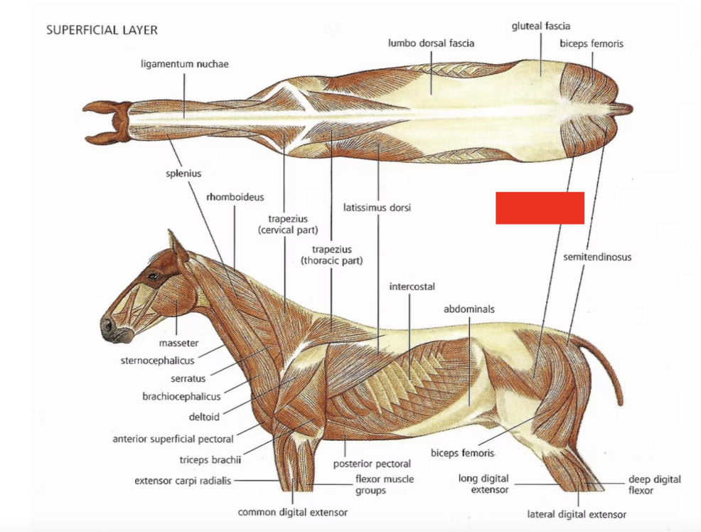 <p>What is this?</p>