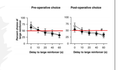 <p><strong>Cardinal et al. (2001)</strong></p><p></p><p>medial prefrontal lesions what does data show</p>
