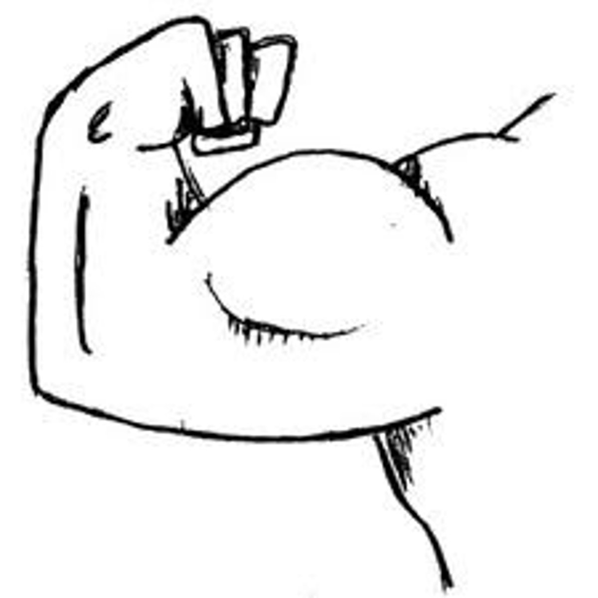 <p>strong</p>