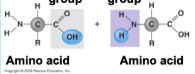 <p>What groups are the two highlighted?</p>