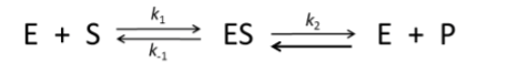 <p><span style="font-family: sans-serif">For the following reaction, why is the term k-2 not included in M-M equation?</span></p><p><span style="font-family: sans-serif">A. This reaction never occurs</span><span><br></span><span style="font-family: sans-serif">B. It simplifies the math</span><span><br></span><span style="font-family: sans-serif">C. The M-M equation only</span><span><br></span><span style="font-family: sans-serif">describes the initial reaction rates</span><span><br></span><span style="font-family: sans-serif">D. It is part of the term Ks</span></p>