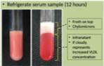 <p>A chylomicron test in dogs is a simple diagnostic method used to detect elevated levels of chylomicrons in the blood, a type of lipoprotein primarily responsible for transporting fats from the digestive system to the body's tissues. It helps diagnose hyperlipidemia, a condition where there's an abnormal increase of fat in the blood. </p><p></p><p>Refrigerate serum sample for 12 hours. The top will have a froth that are the chylomicrons. The bottom layer is the infranatant. </p>
