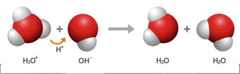 <p>a reaction between hydronium and hydroxide ions to produce water</p><ul><li><p>a form of double replacement reaction</p></li></ul><hr><ul><li><p><em>H3O+(aq) + OH-(aq) → 2 H2O(l)</em></p></li></ul>