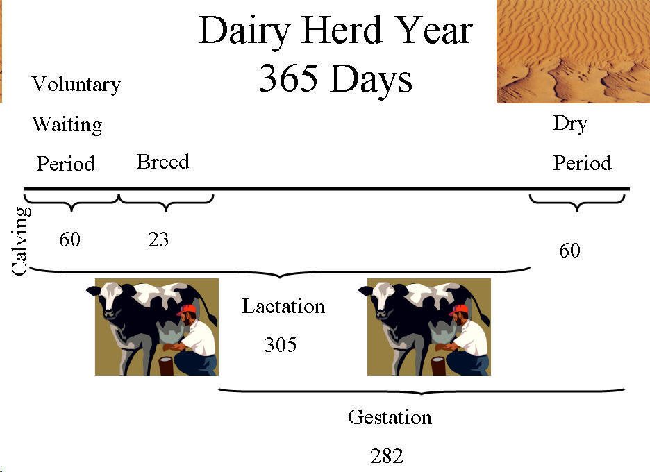 <p><span>Lactogenesis</span></p><p></p>