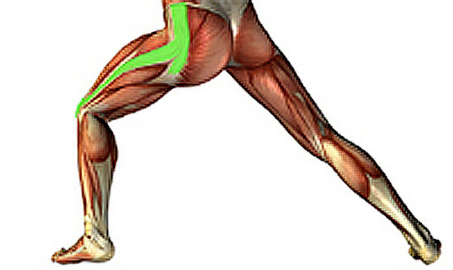 <p>*posterior</p>