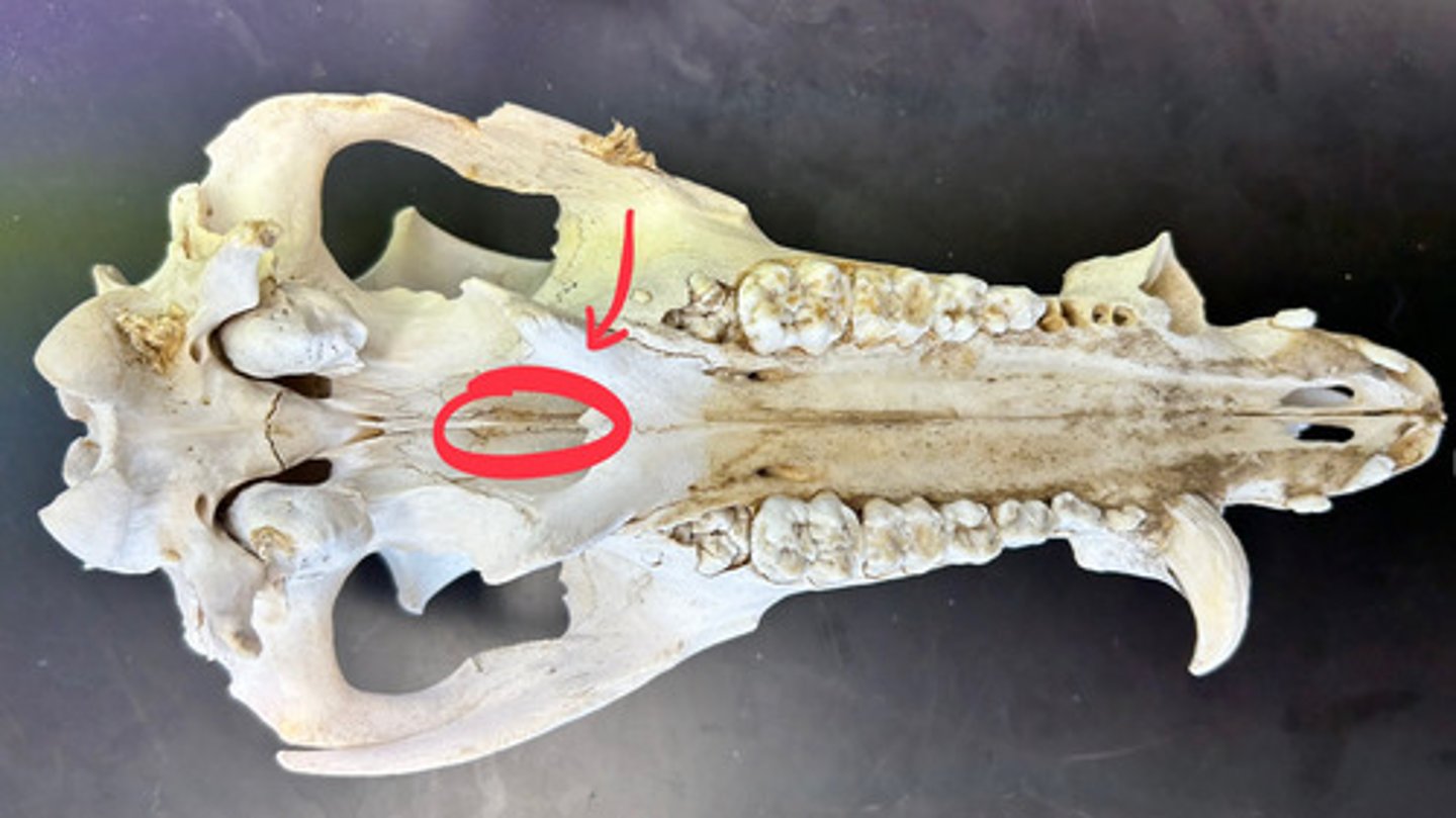 <p>What is this?</p>