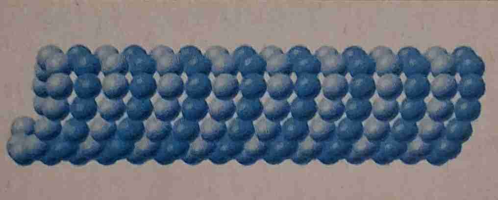 <ul><li><p>białko budulcowe – tubulina</p></li><li><p>budowa – puste wewnątrz</p></li><li><p>występowanie w komórce – są one dynamicznymi strukturami które mogą znikać i znowu się pojawiać oraz wydłużać się lub skracać</p></li></ul>