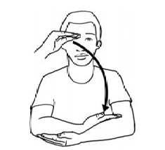 term image
