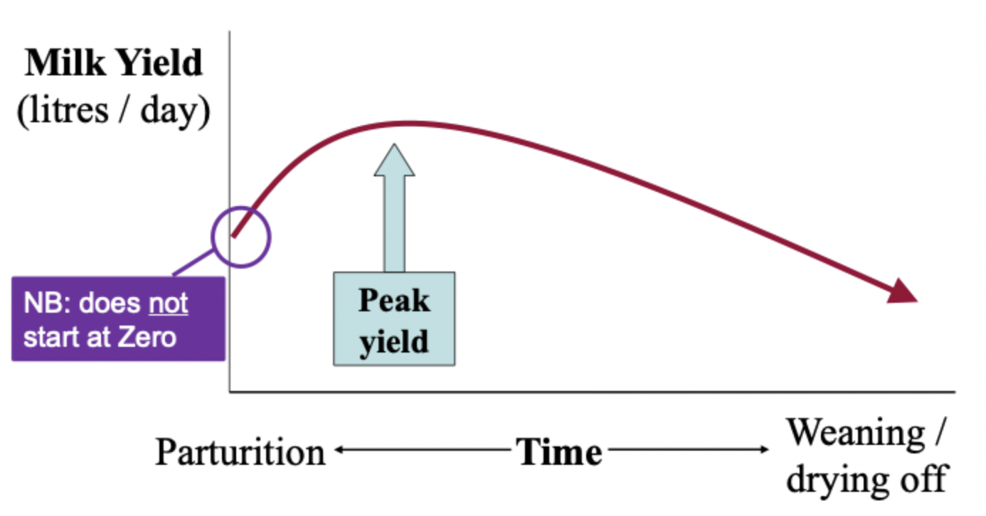 <p>the increase in milk yield from an animal from parturition to peak yield after which it decreases as offspring begin weaning, can be influenced by how often the animal is milked&nbsp;</p>