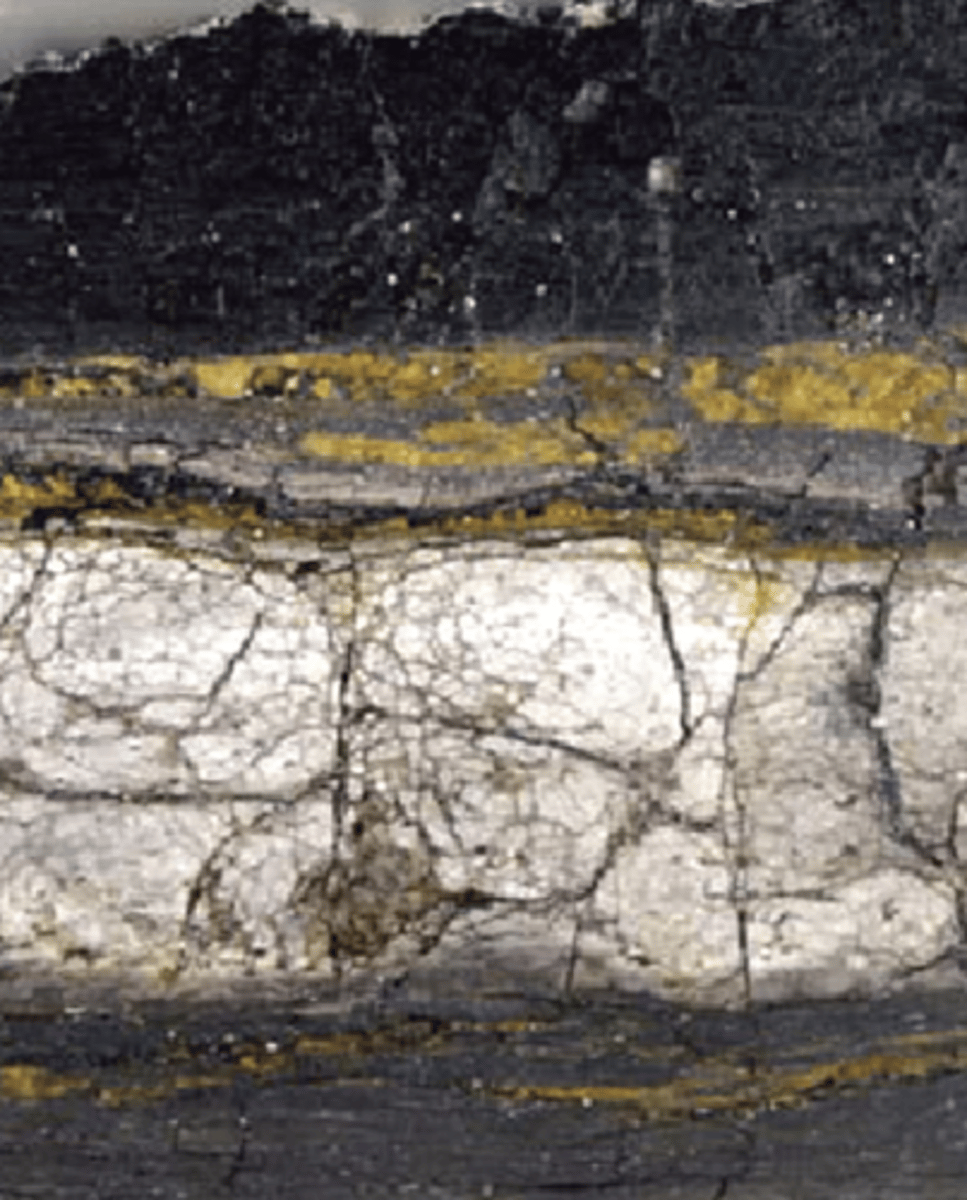 <p>North America only</p>