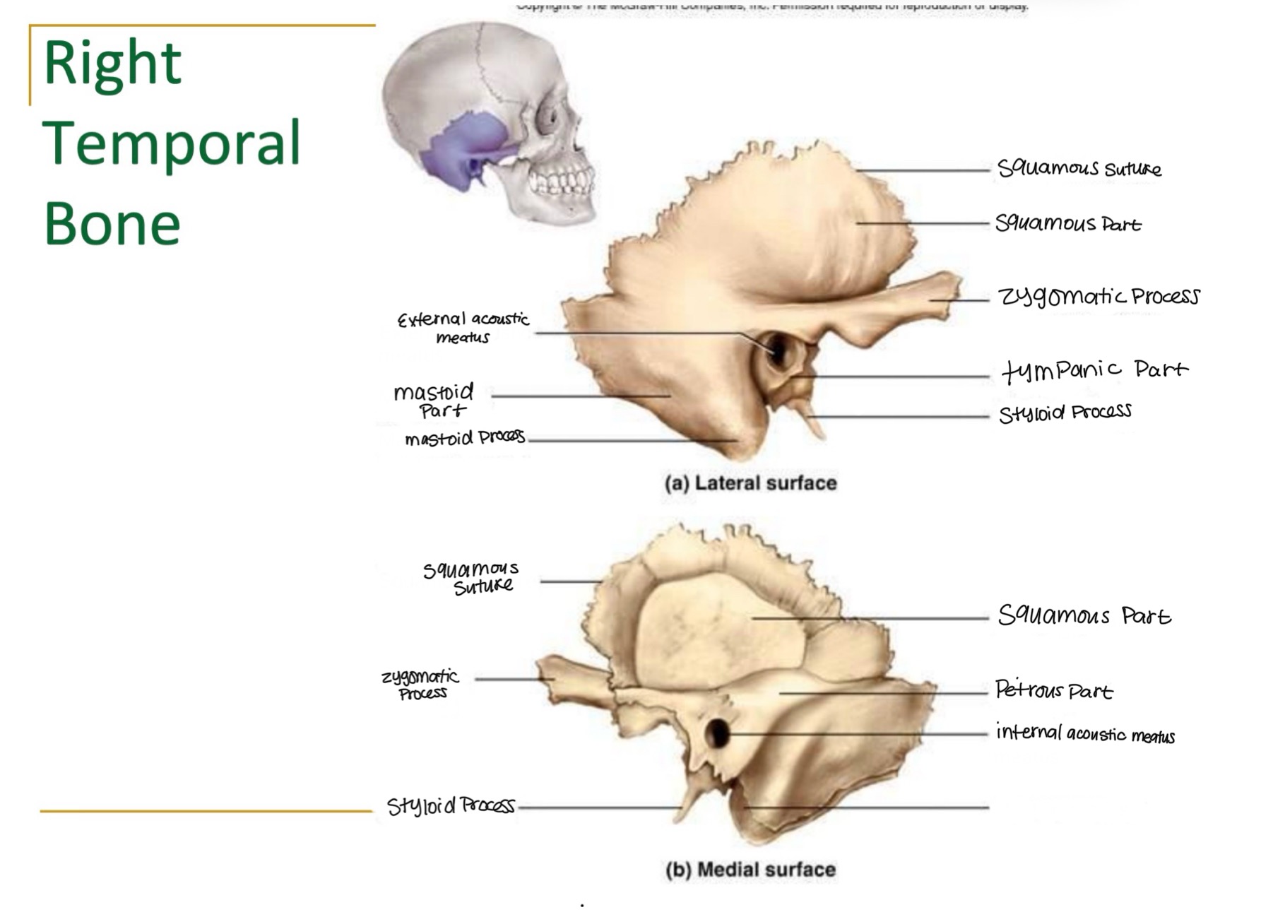 <p><br>label missing word on diagram</p>