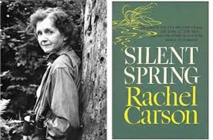 <p>A book written (Rachel Carson) to voice the concerns of environmentalists. Launched the environmentalist movement by pointing out the effects of civilization development.</p>