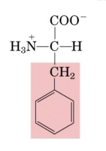 <p>What’s this aminoacid?</p>
