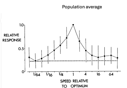 <p>for each neuron: divide its firing rate by max firing rate (preferred speed = 1)</p><p>plot speed as a ratio to the neuron’s optimum</p><ul><li><p>if neuron prefers 16deg/s then 8deg/s is 0.5x optimum</p></li><li><p>if a neuron prefers 16deg/s then 32deg/s is 2x optimum</p></li></ul><p>use fraction of speed relative to optimum to average neurons together to get a population picture</p>