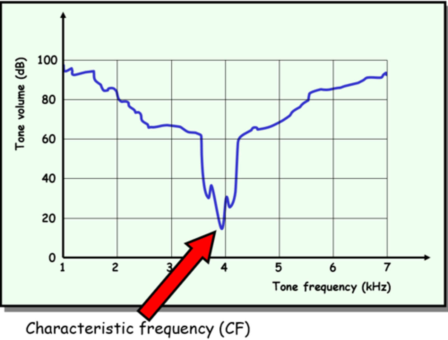 <p>What is the characteristic frequency of an auditory neurone?</p>